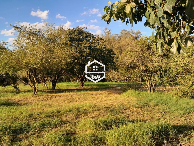 Área Rural para venda em Sentinela do Sul: 1ª foto da galeria de imagens do imóvel