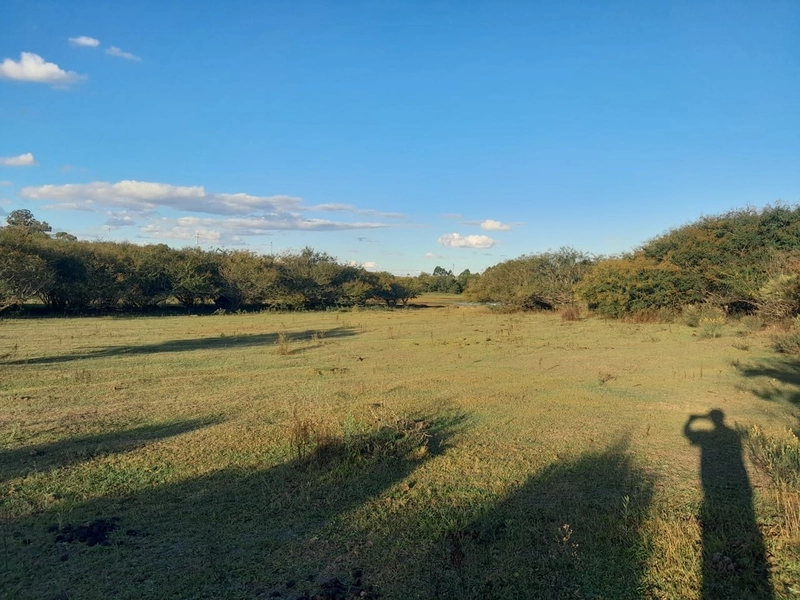 Área Rural para venda em Sentinela do Sul: 5ª foto da galeria de imagens do imóvel