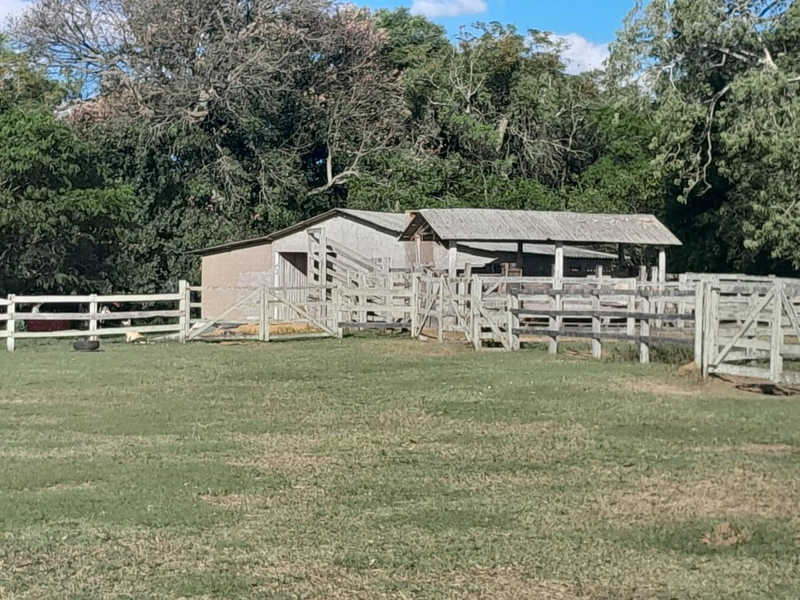 Área Rural para venda em Sentinela do Sul: 10ª foto da galeria de imagens do imóvel