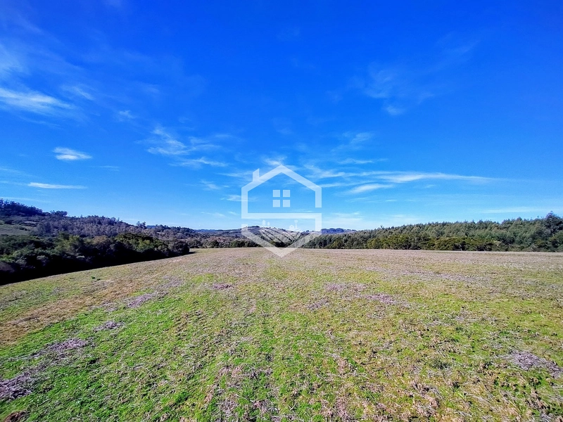 -Propriedade com 22,6ha, Aptidão Agropecuária -: 2ª foto da galeria de imagens do imóvel