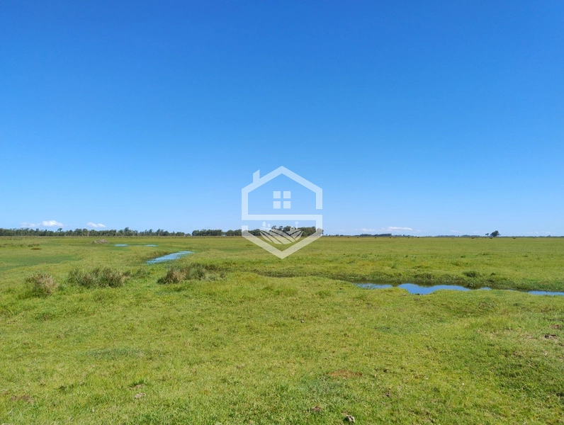 173ha de Campo e lavoura...: 32ª foto da galeria de imagens do imóvel