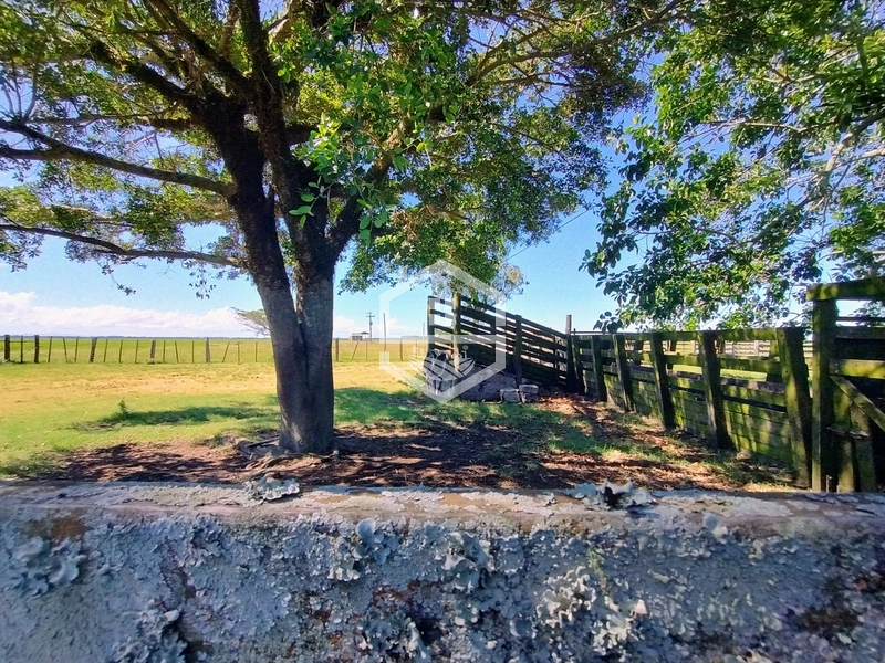 173ha de Campo e lavoura...: 14ª foto da galeria de imagens do imóvel