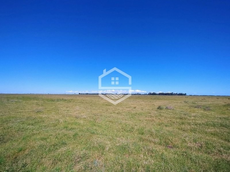 173ha de Campo e lavoura...: 24ª foto da galeria de imagens do imóvel