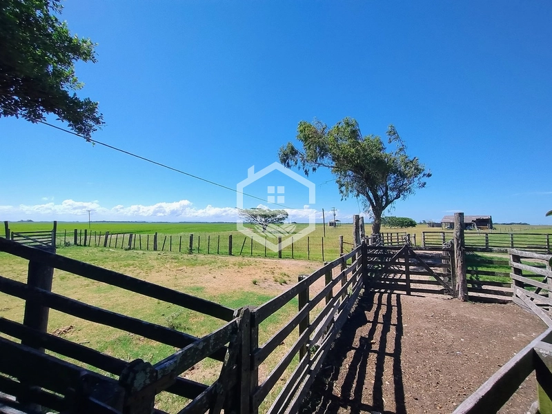 173ha de Campo e lavoura...: 8ª foto da galeria de imagens do imóvel