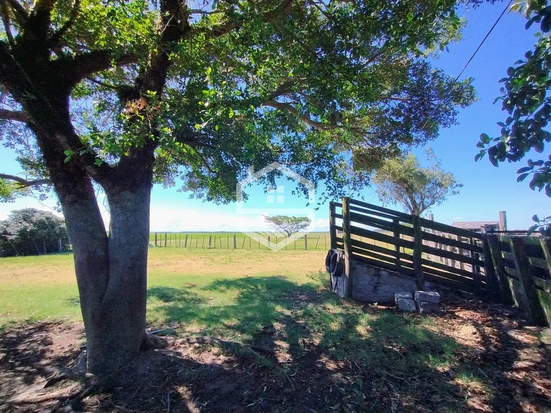 173ha de Campo e lavoura...: 12ª foto da galeria de imagens do imóvel