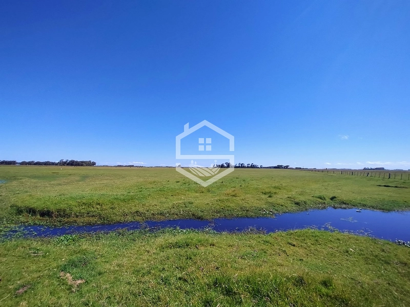 173ha de Campo e lavoura...: 29ª foto da galeria de imagens do imóvel