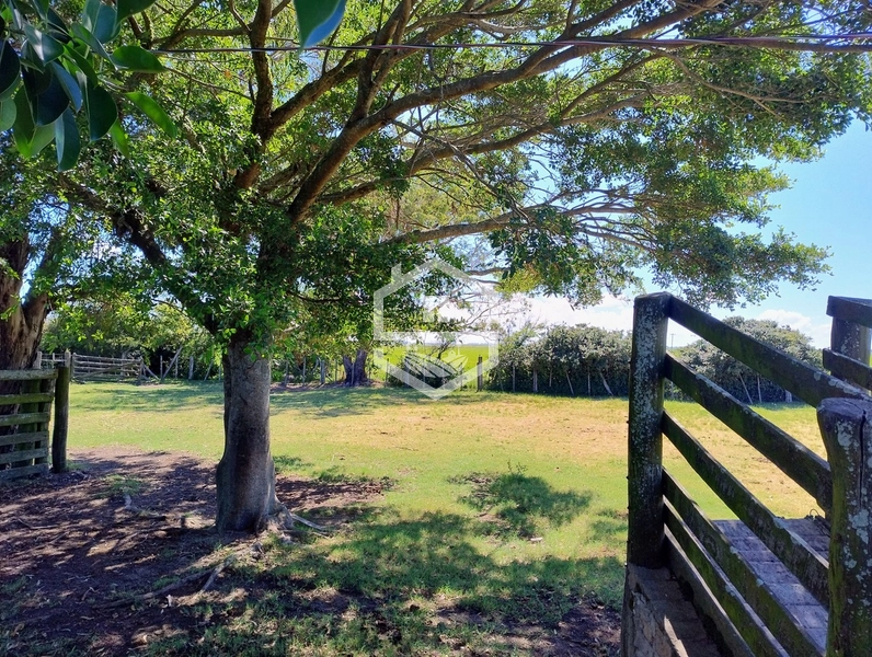 173ha de Campo e lavoura...: 9ª foto da galeria de imagens do imóvel