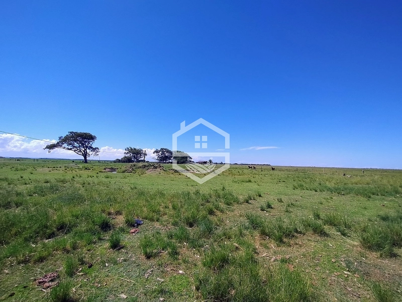 173ha de Campo e lavoura...: 1ª foto da galeria de imagens do imóvel