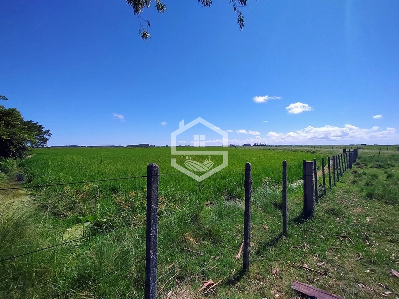 173ha de Campo e lavoura...: 3ª foto da galeria de imagens do imóvel