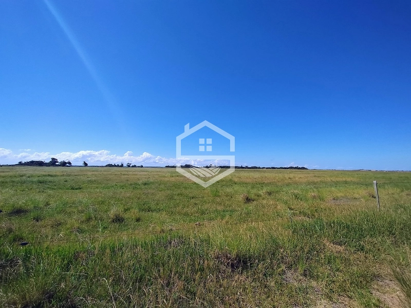 173ha de Campo e lavoura...: 33ª foto da galeria de imagens do imóvel