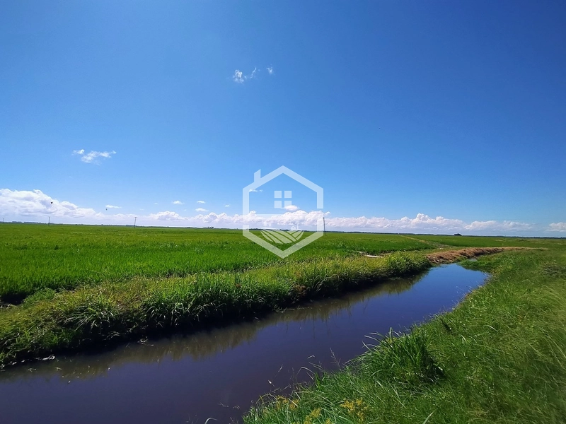 173ha de Campo e lavoura...: 17ª foto da galeria de imagens do imóvel