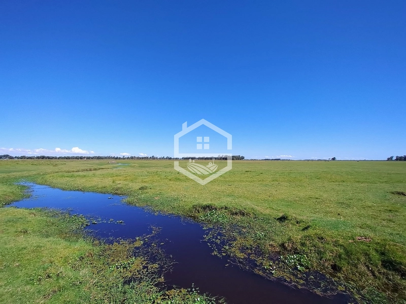 173ha de Campo e lavoura...: 30ª foto da galeria de imagens do imóvel