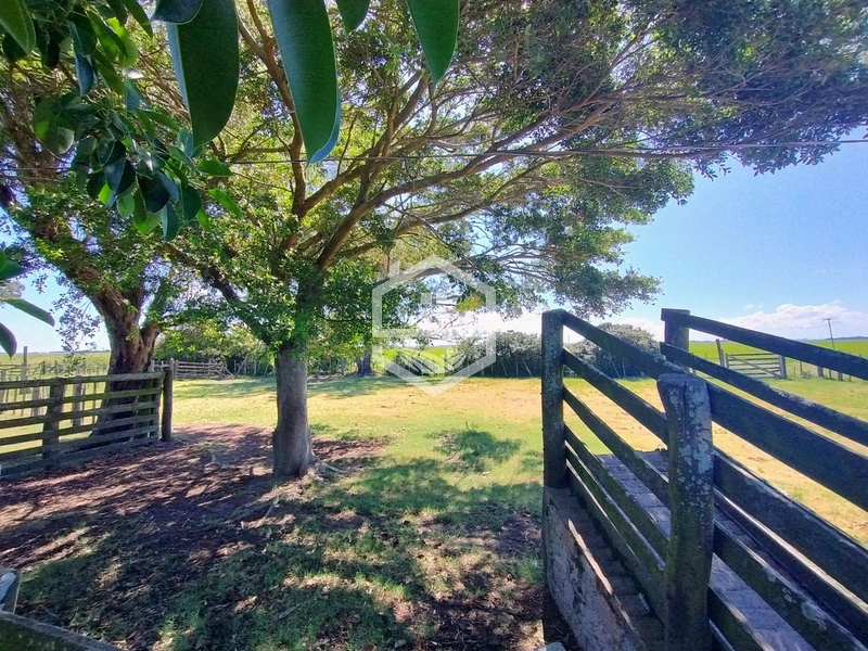 173ha de Campo e lavoura...: 7ª foto da galeria de imagens do imóvel