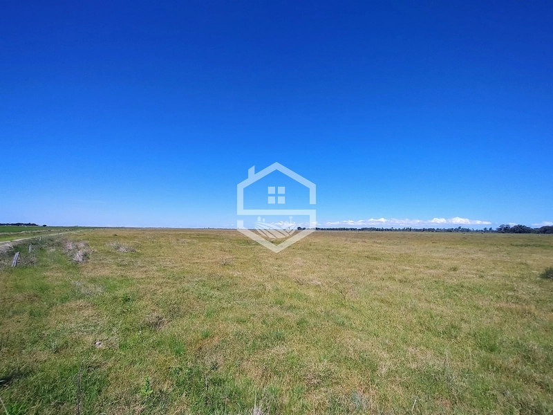 173ha de Campo e lavoura...: 23ª foto da galeria de imagens do imóvel