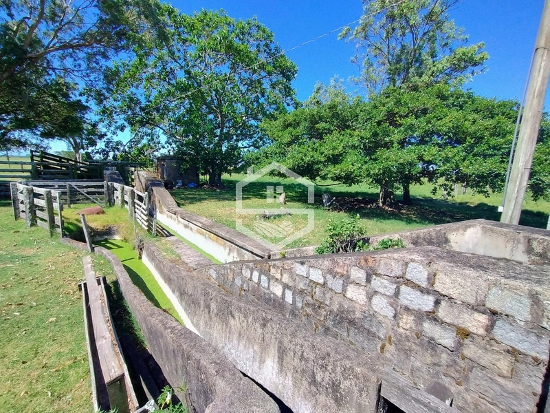 173ha de Campo e lavoura...: 15ª foto da galeria de imagens do imóvel