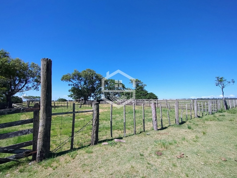 173ha de Campo e lavoura...: 6ª foto da galeria de imagens do imóvel