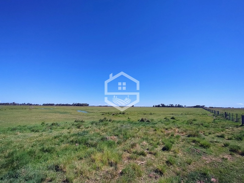 173ha de Campo e lavoura...: 28ª foto da galeria de imagens do imóvel