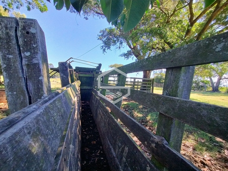 173ha de Campo e lavoura...: 10ª foto da galeria de imagens do imóvel