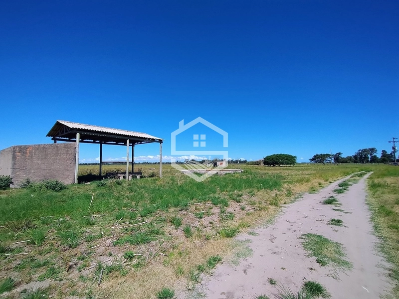 173ha de Campo e lavoura...: 22ª foto da galeria de imagens do imóvel