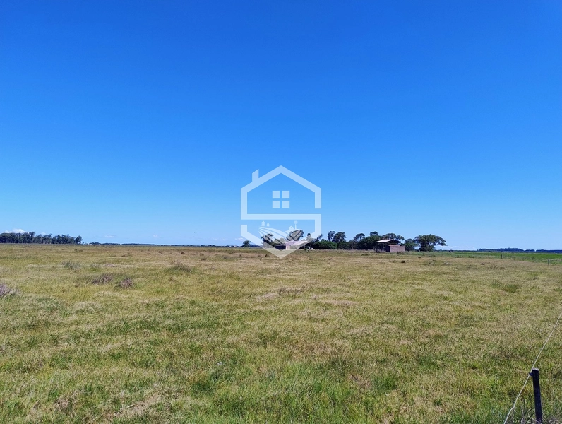 173ha de Campo e lavoura...: 26ª foto da galeria de imagens do imóvel