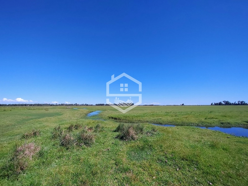 173ha de Campo e lavoura...: 27ª foto da galeria de imagens do imóvel