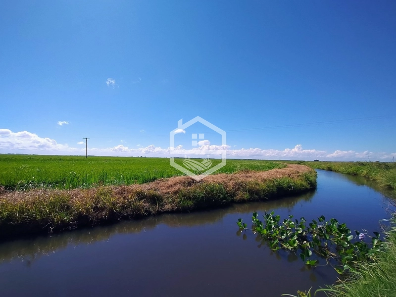 173ha de Campo e lavoura...: 20ª foto da galeria de imagens do imóvel