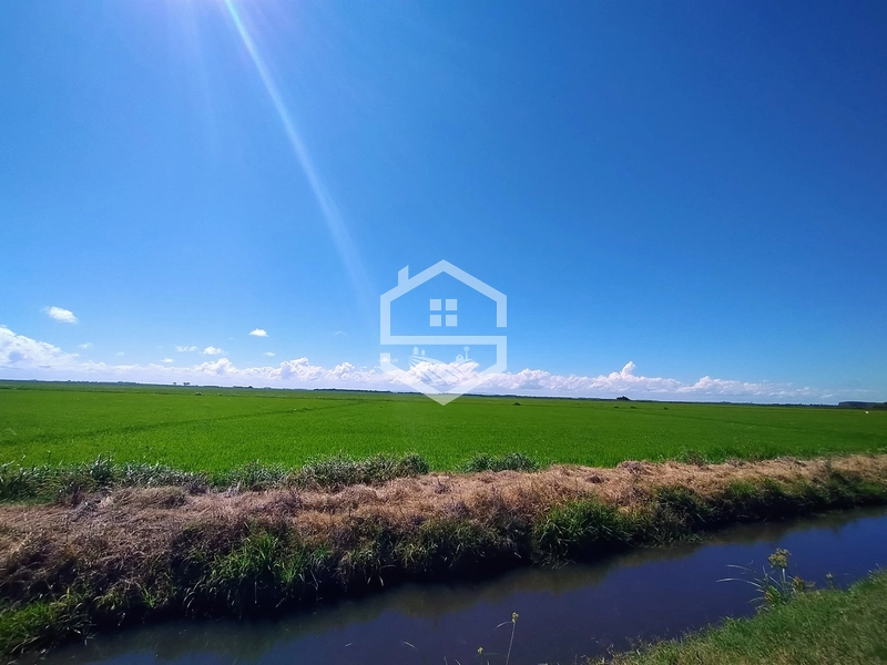 173ha de Campo e lavoura...: 21ª foto da galeria de imagens do imóvel