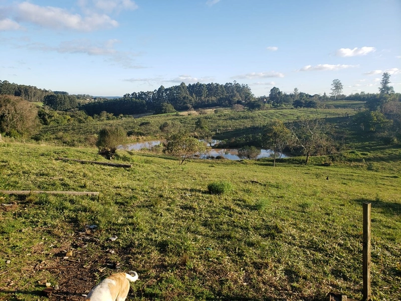 Área Rural para venda em Camaquã: 4ª foto da galeria de imagens do imóvel