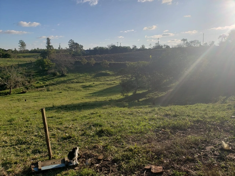 Área Rural para venda em Camaquã: 6ª foto da galeria de imagens do imóvel