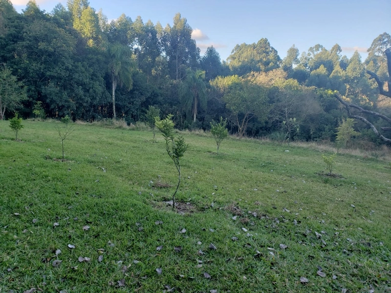 Área Rural para venda em Camaquã: 11ª foto da galeria de imagens do imóvel