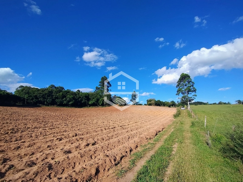 5,7ha no 4° Distrito, Bonito.: 24ª foto da galeria de imagens do imóvel