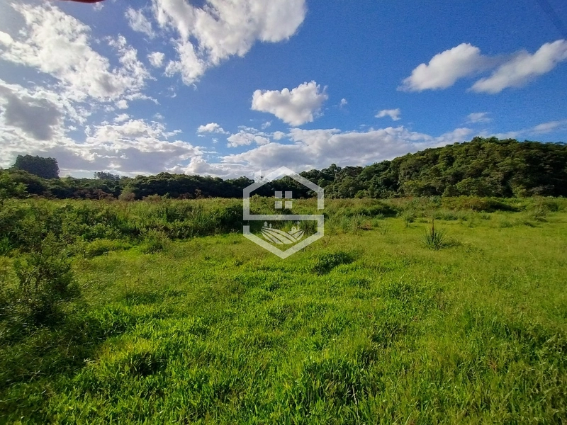 5,7ha no 4° Distrito, Bonito.: 12ª foto da galeria de imagens do imóvel