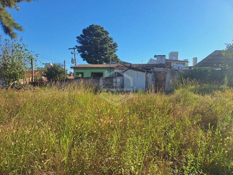 VENHA CONSTRUIR SEU NIOVA LAR AQUI!!!: 1ª foto da galeria de imagens do imóvel