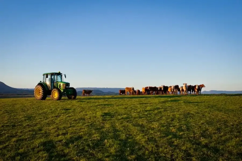 Área de múltiplas Aptidões!: 2ª foto da galeria de imagens do imóvel