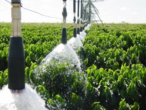 Área de múltiplas Aptidões!: 4ª foto da galeria de imagens do imóvel