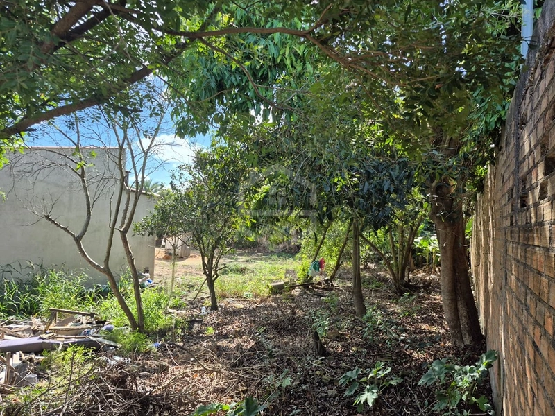 CONSTRUA SEU NOVO LAR AQUI!: 2ª foto da galeria de imagens do imóvel