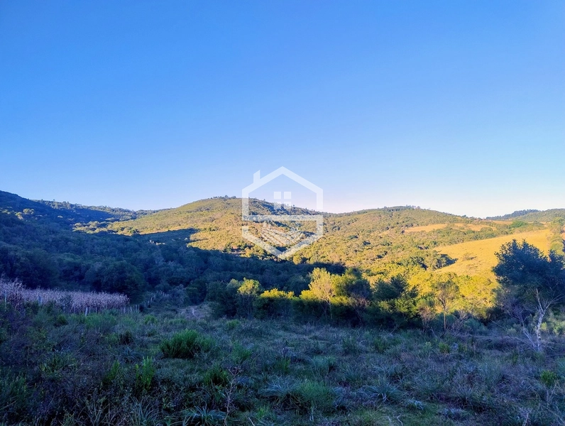 -110 com Aptidão  Silvicultura -: 4ª foto da galeria de imagens do imóvel