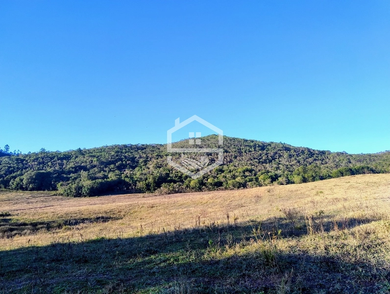 -110 com Aptidão  Silvicultura -: 2ª foto da galeria de imagens do imóvel