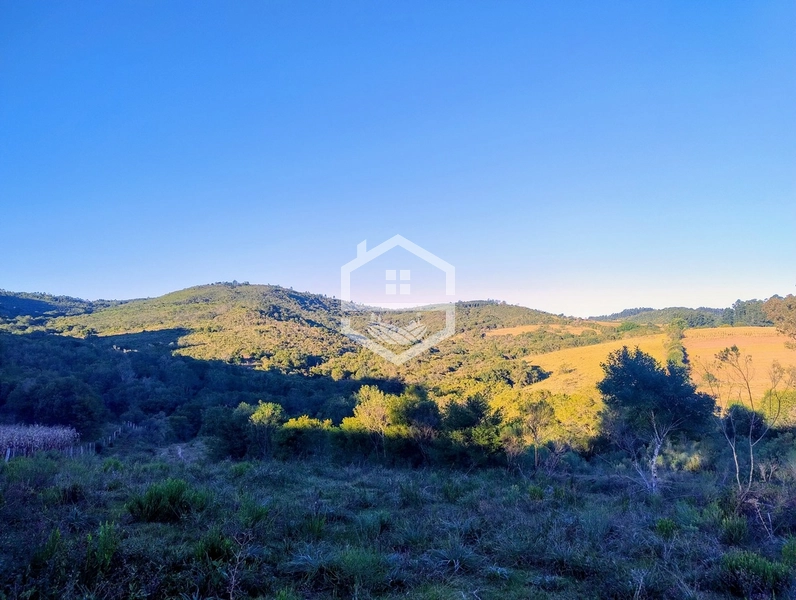 -110 com Aptidão  Silvicultura -: 1ª foto da galeria de imagens do imóvel