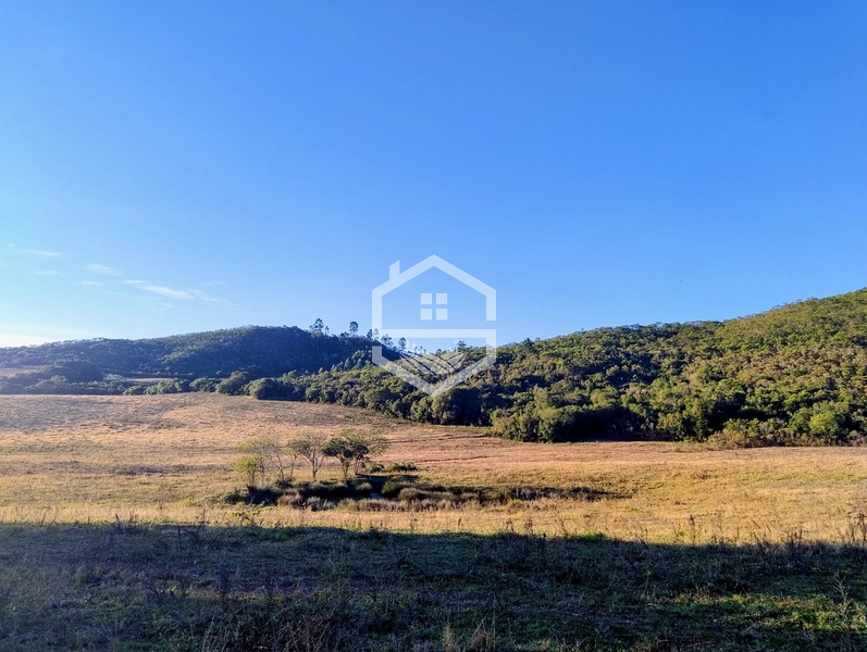 -110 com Aptidão  Silvicultura -: 3ª foto da galeria de imagens do imóvel