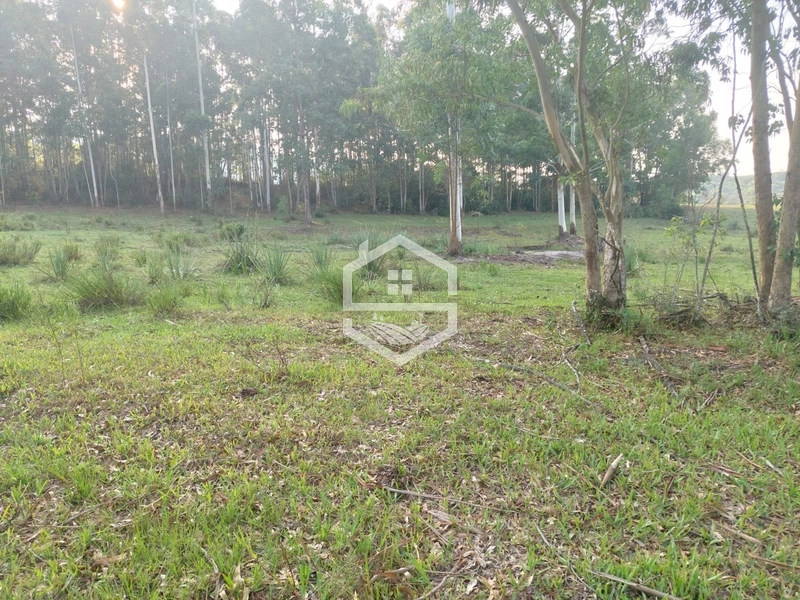 Sitio com 25ha em Cristal RS.: 4ª foto da galeria de imagens do imóvel
