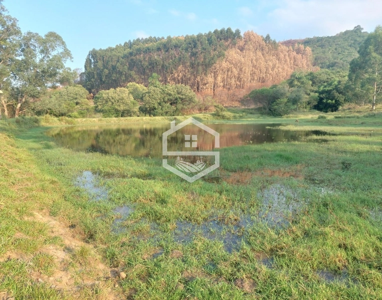 Sitio com 25ha em Cristal RS.: 6ª foto da galeria de imagens do imóvel