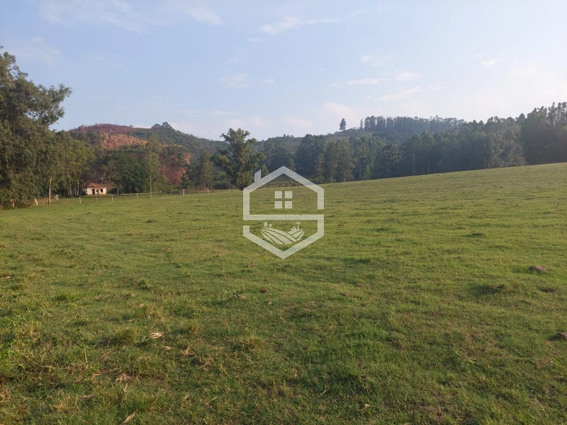 Sitio com 25ha em Cristal RS.: 2ª foto da galeria de imagens do imóvel