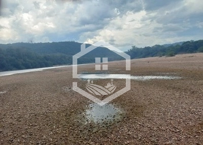 Sitio com 25ha em Cristal RS.: 8ª foto da galeria de imagens do imóvel