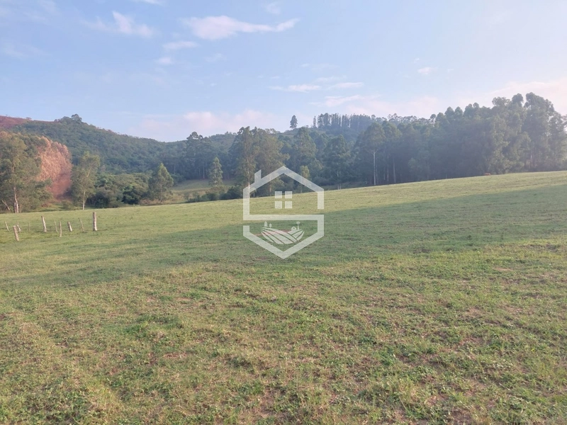 Sitio com 25ha em Cristal RS.: 5ª foto da galeria de imagens do imóvel