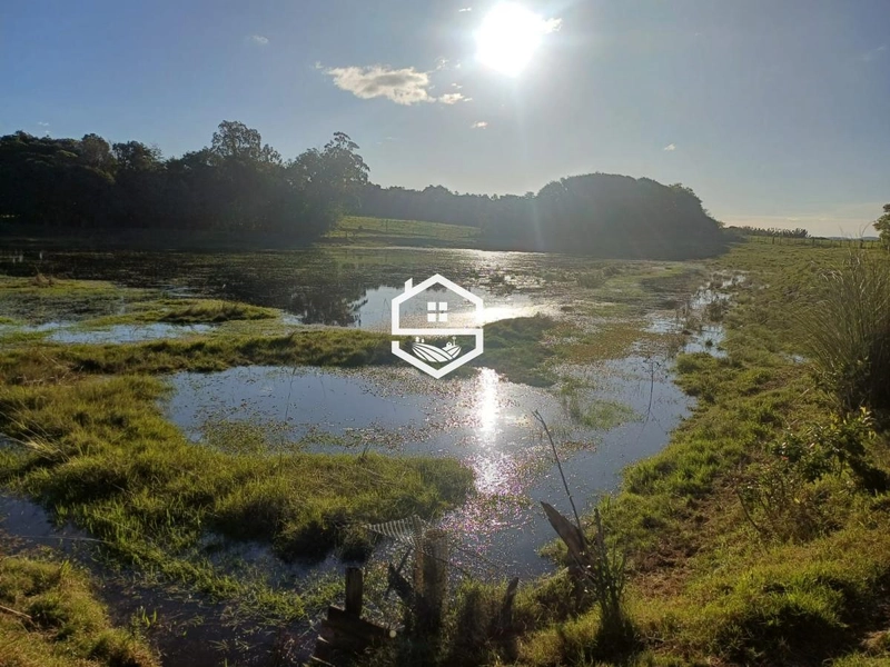 Área Rural para Venda em Tapes: 1ª foto da galeria de imagens do imóvel