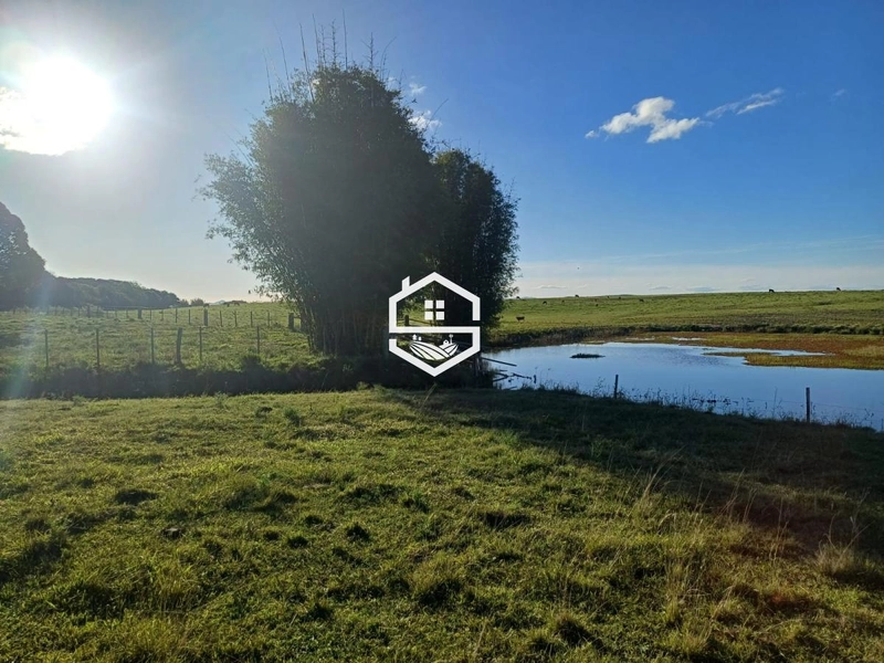 Área Rural para Venda em Tapes: 6ª foto da galeria de imagens do imóvel