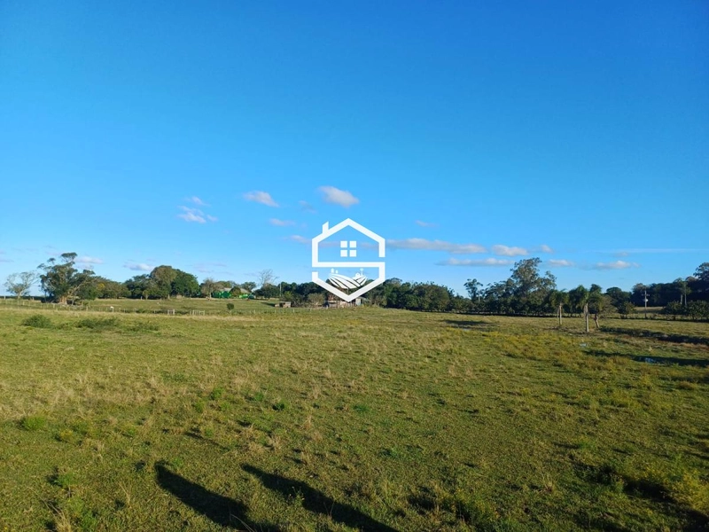 Área Rural para Venda em Tapes: 5ª foto da galeria de imagens do imóvel