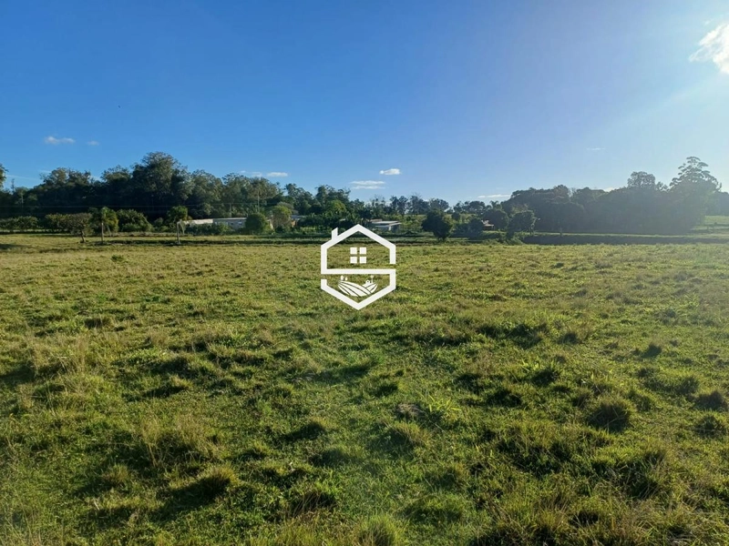 Área Rural para Venda em Tapes: 7ª foto da galeria de imagens do imóvel