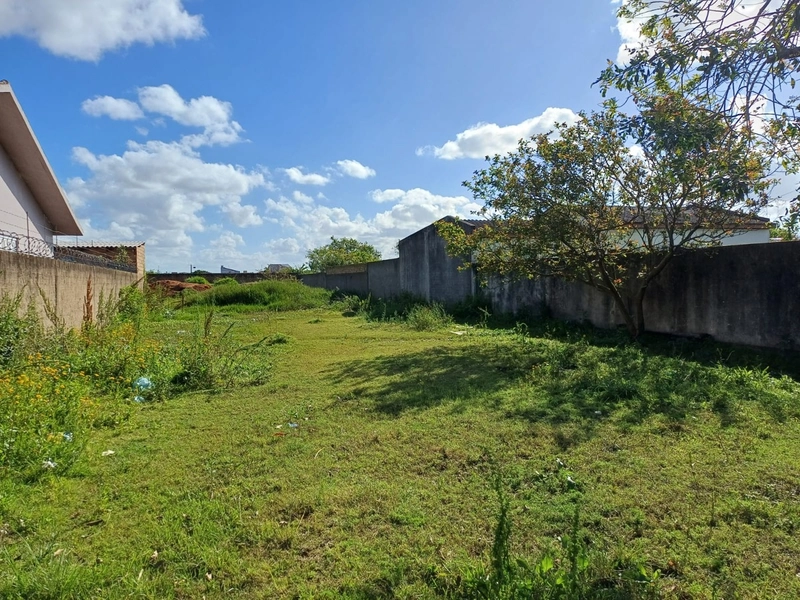TERRENO EM ÓTIMA LOCALIZAÇÃO EM CAMAQUÃ: 3ª foto da galeria de imagens do imóvel